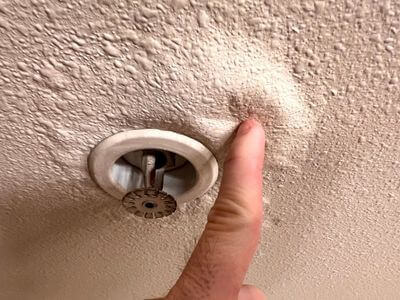 About Black Mold Removal Ecorse - black mold removal experts in Ecorse